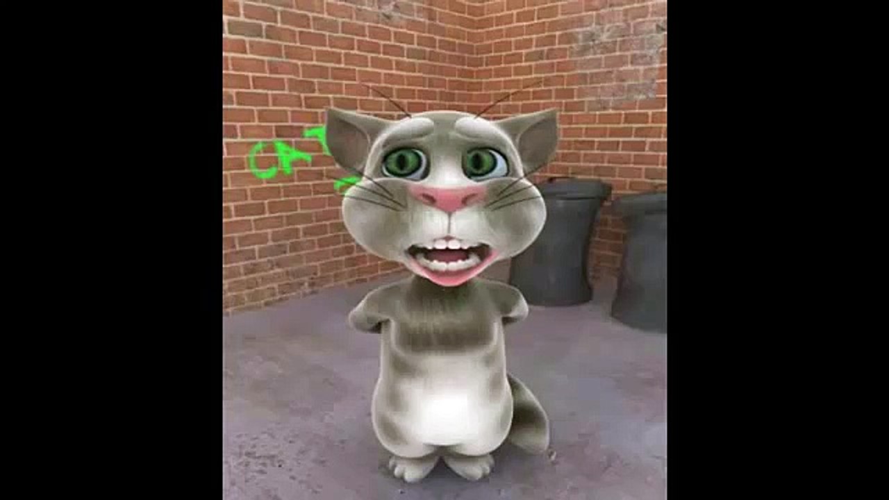 Le chat tom