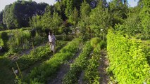 Jardin en Champagne Ardennes : Les potagers de Guillaume