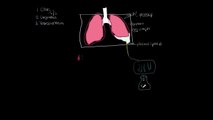 Pleural effusion diagnosis and treatment