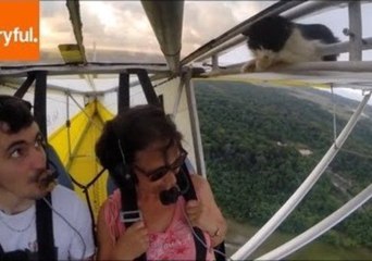 Storyful's Best Viral Videos of the Week, June 26