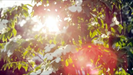 Best Price Black & Decker STC1820 18 Volt Strimmer & City Mower Reviews