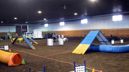 Agility Fun Match [December 17th, 2011]!!