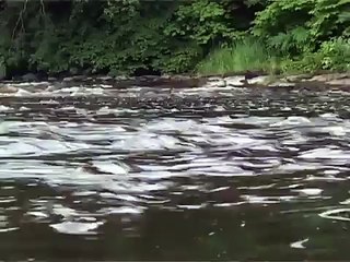 Tying the General Practitioner(Salmon Fly) with Davie McPhail