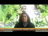 El Cancer y Lupus se cura con Ganoderma Lucidum de Gano Excel - Gano Cafe