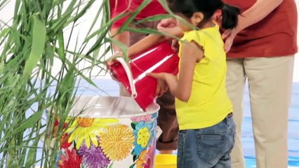 Best Kids Songs: "One Seed" by Laurie Berkner - An Environment Kids Song