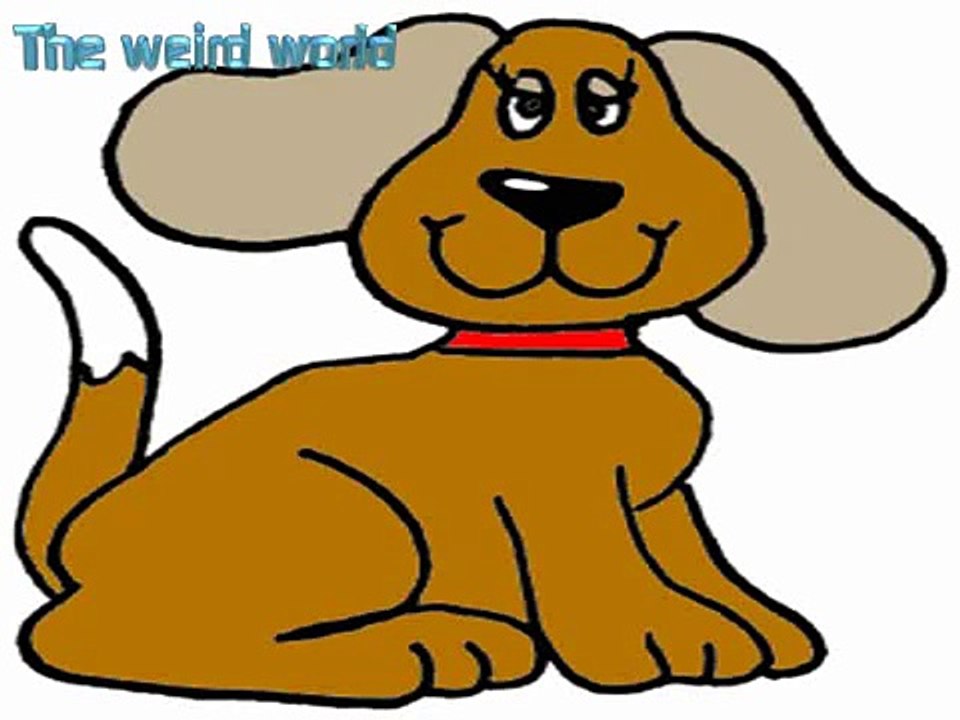 Bingo Was His Name O