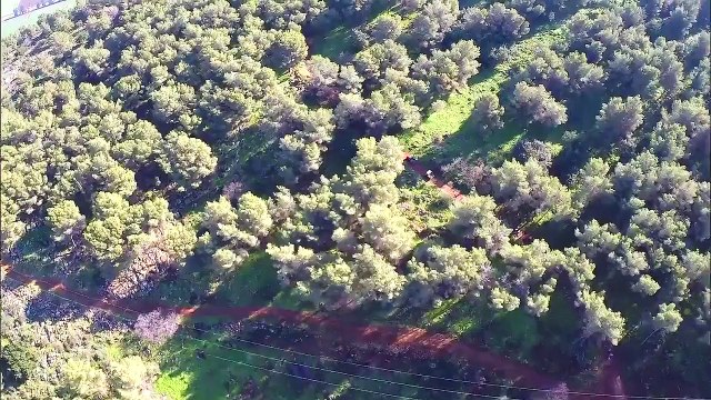 ‪Family Bar and Bat Mitzvah Tour with Puzzle Israel‬‏