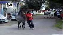 Guys gets kicked by horse (IT ONLY HURTS WHEN I LAUGH)