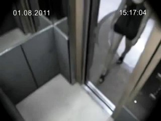 Daniel Matsunaga Elevator Scandal
