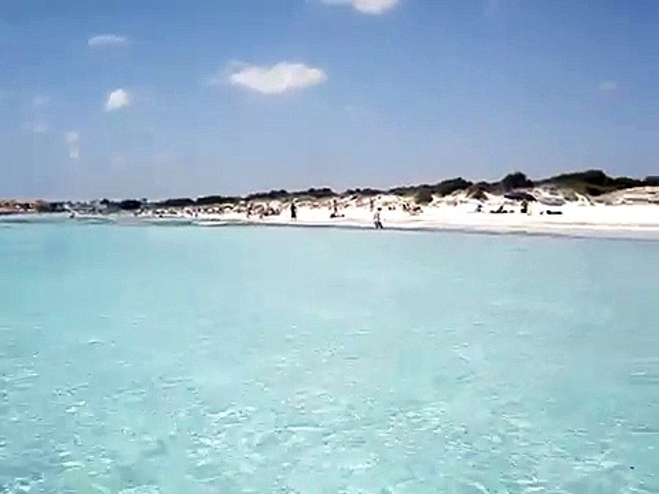 maiorca es trenc