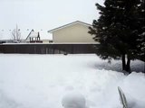 Miniature Dachshunds in Backyard Snow Maze