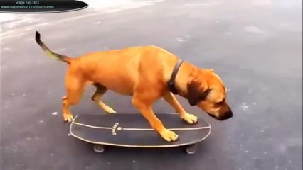 volga zap 003 (partie 01) 28/06/2015