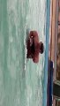 very Happy swiming Ali.jawed falah Moiz & Ovais