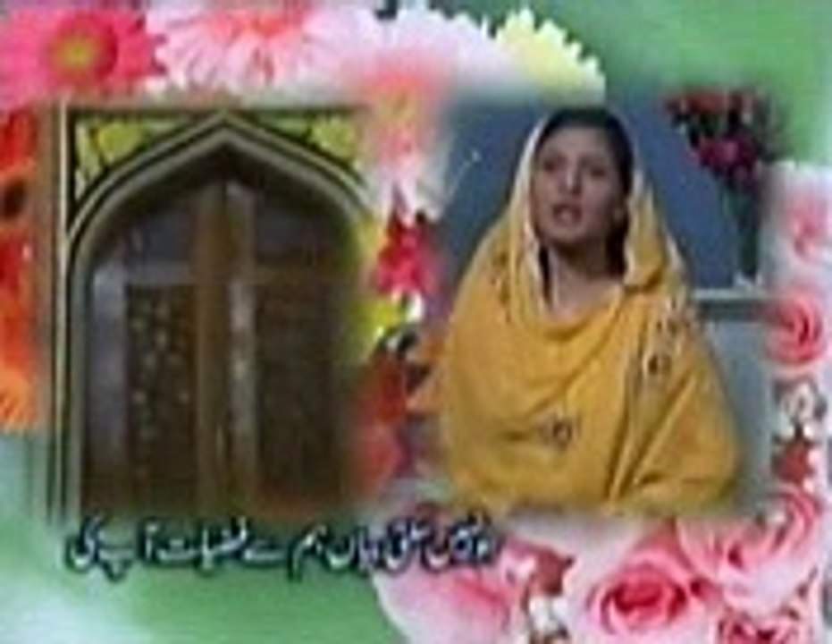 molu sal li