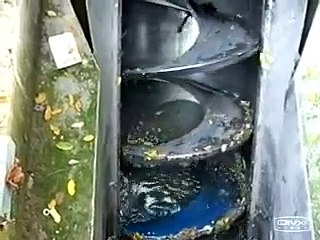 Screen screw compactor MID