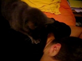 Massage par un Chat Inédit