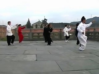 Wudang Tai Ji Quan 28