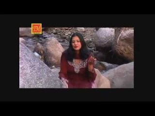 Pasam Ru Dodu | New Himachali  Song | TM Music