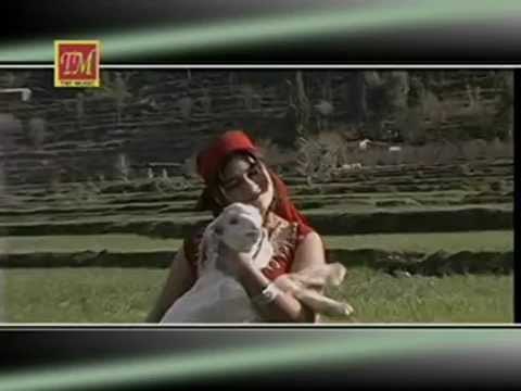 Kindi Chale Bathade | New Himachali Song | TM Music