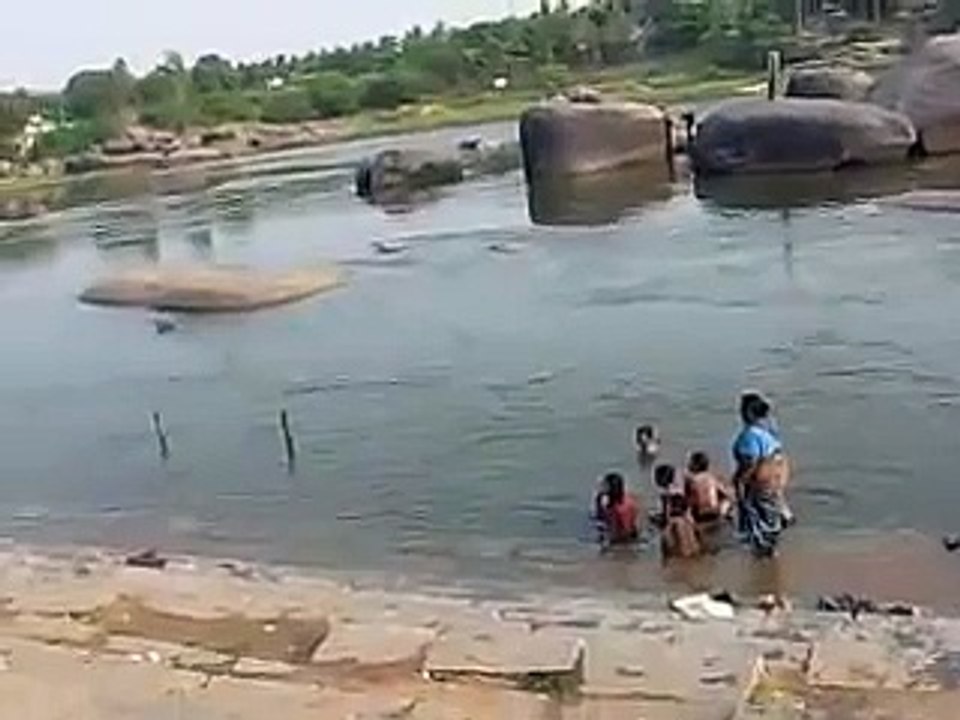 Elephant pooping