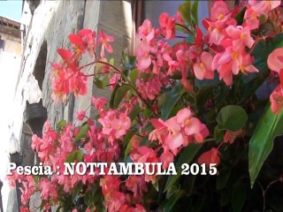 Pescia : MICHELE ZARRILLO A "NOTTAMBULA 2015"