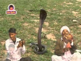 Moroliyo Bagh  || Gujarati Devotional Song