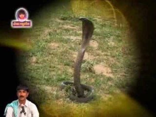 Gogo Maro || Gujarati Devotional Song