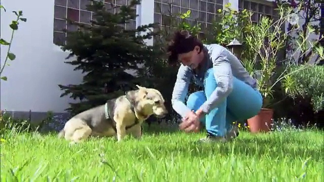 Angst vor dem Abseits