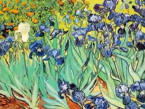 Vincent Van Gogh Starry Night