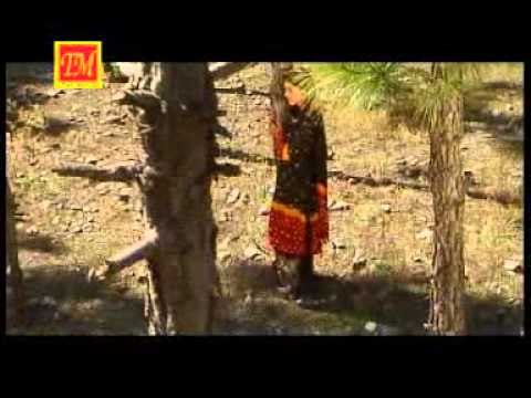 Yaad Lo Aai | Top Himachali Song | TM Music | Thakur Dass Rathi