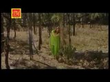 Chidi Lo Chidi | Top Himachali  Song | TM Music | Thakur Dass Rathi