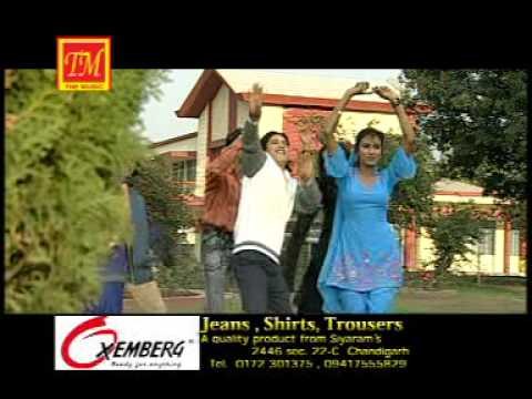 Bhai Ri Saliye | Top Himachali Song | TM Music | Narender Ranjan