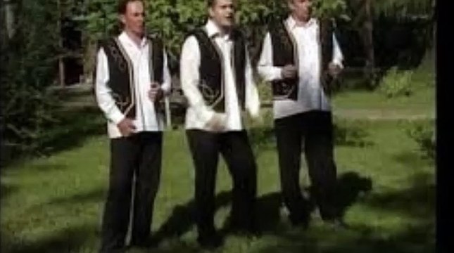 Lazarevo Jato -Cokorska Polja NOVO