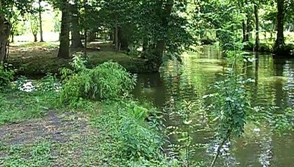 Marais Poitevin en été