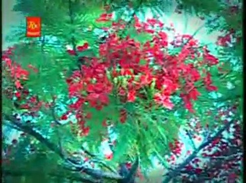 Buta Pipale Da | Top Navratri Mata Song | R.K. Production | Bhajan | Mata Bhent