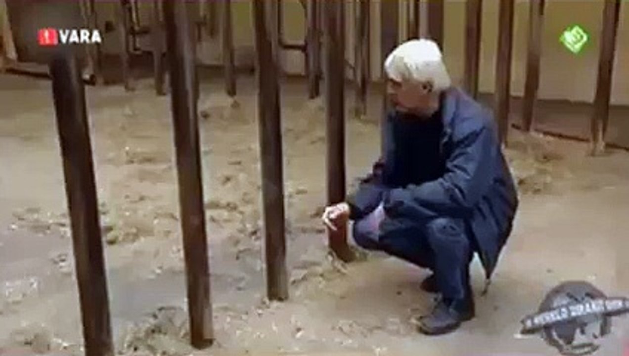 Men in Jurassic World only in 6 seconds.