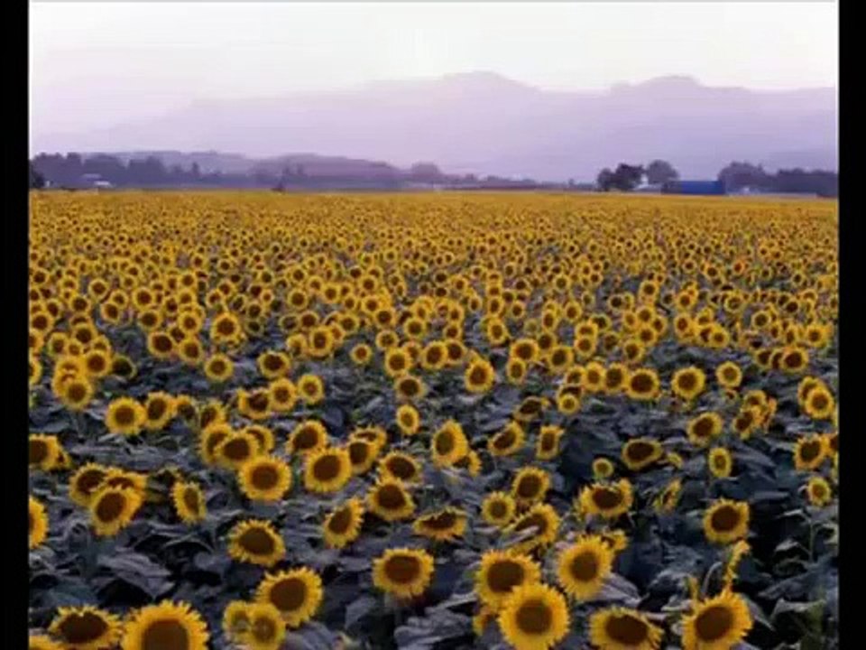 A-ha - Mother Nature Goes To Heaven - Demo Version