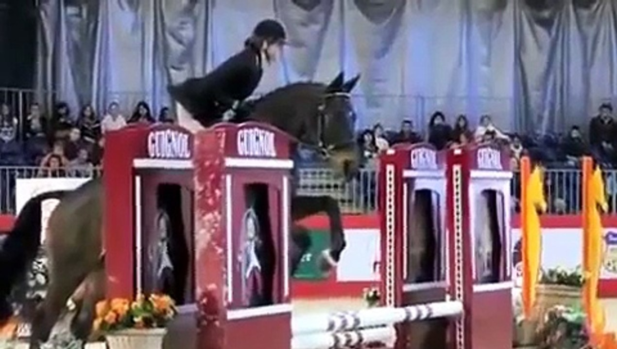 equita'lyon 2012