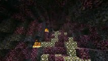 Nether Caves [] Minecraft Race Map