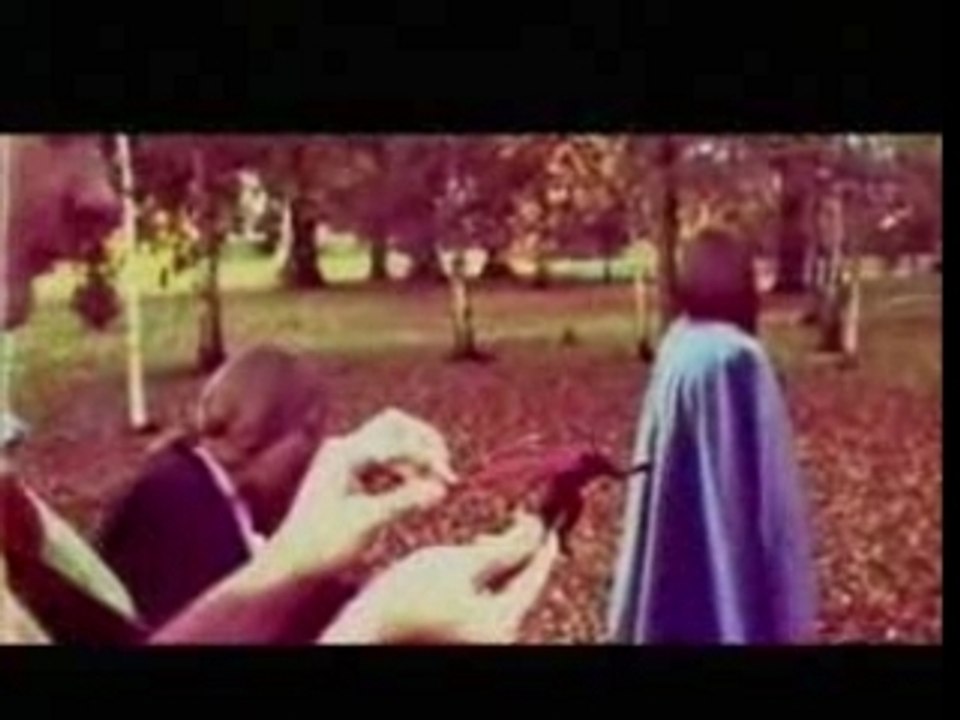 Stereolab - Wow And Flutter