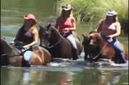 Cowboy Dressage  Horses and Pretty Ladies