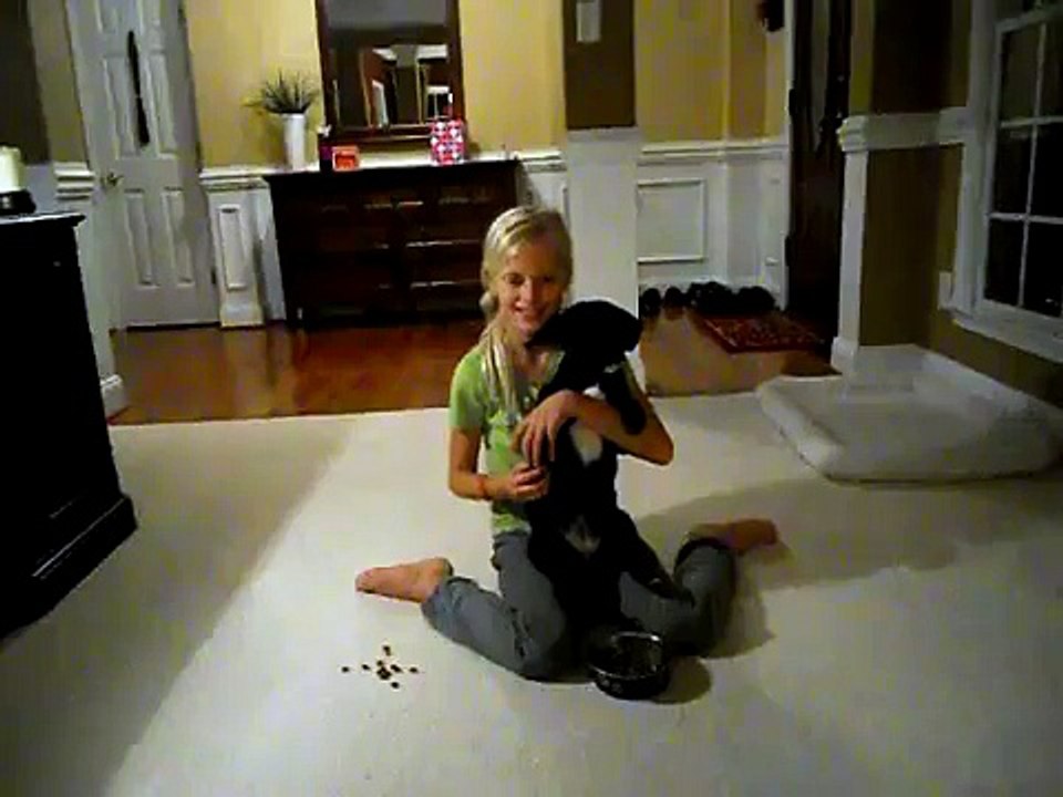 Cajsa & Grace Training Dogs