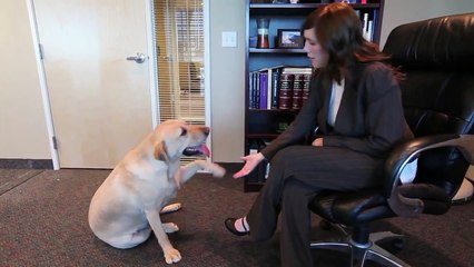 Angel MedFlight Director of Canine Operations