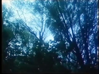 WWI We should never forget