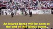 Horse Injured at 2010 Cheyenne Frontier Days Rodeo
