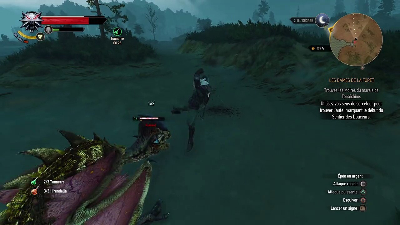 Un trésor bien gardé. (The Witcher 3)