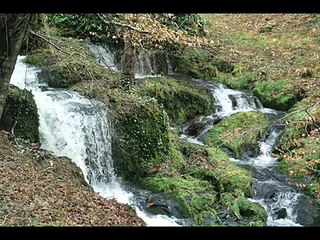 bana seni gerek seni - burhan çaçan