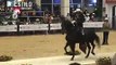 Gran Campeonato de Caballos de Trocha y Galope Agroexpo2013