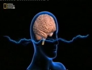 Estimulacion electrica transcraneal (TDCS): Matematicas (Roi Cohen Kadosh)