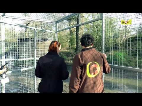 Découvrez les Instants Privilèges avec les Felins